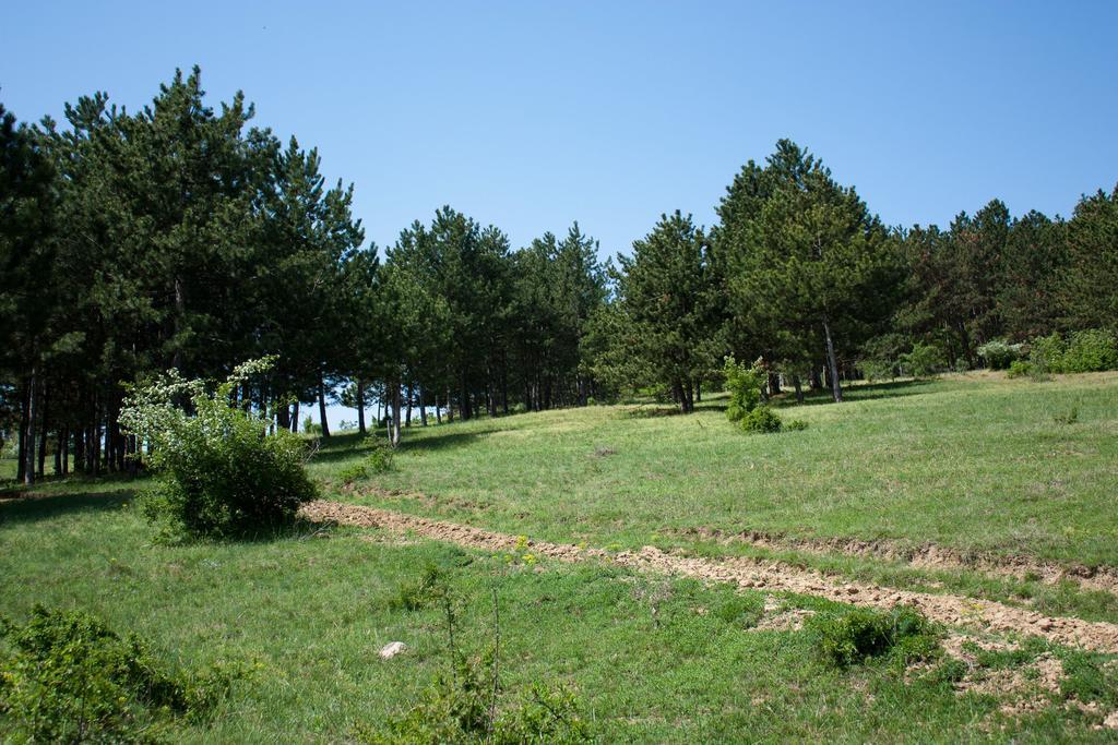 Holiday Home Jazacka Bajka Vrdnik Dış mekan fotoğraf